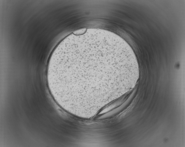 X0000116781434201001281205