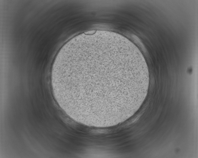 X0000116781435201001281205