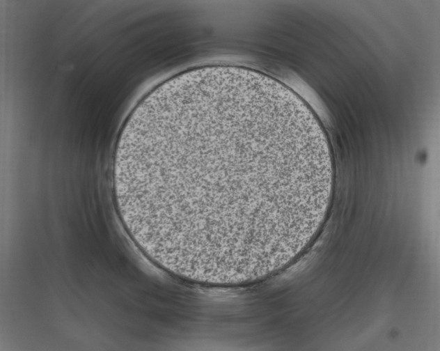 X0000116781436201001281205