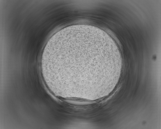 X0000116781437201001281205