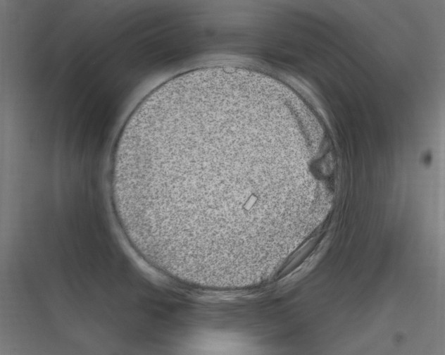 X0000116781438201001281205