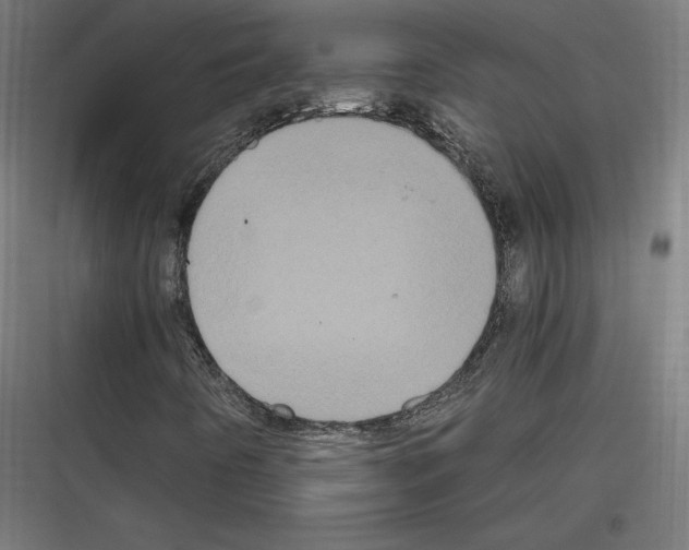 X0000116781442201001281204