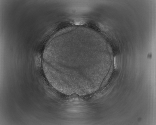 X0000116781443201001281204