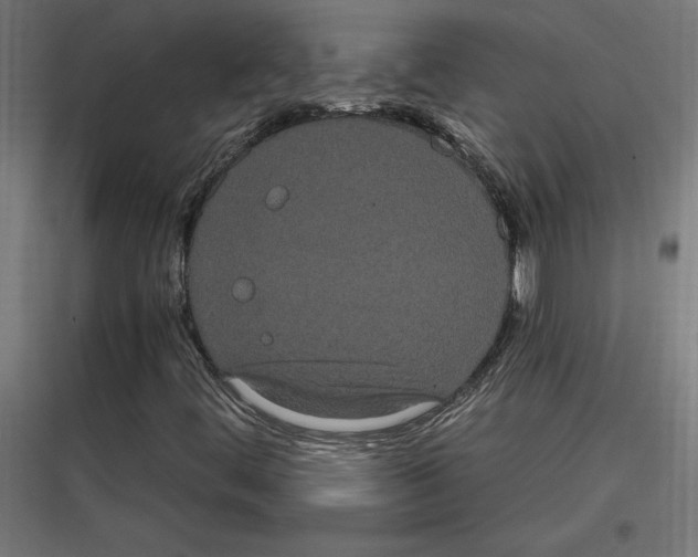 X0000116781444201001281204