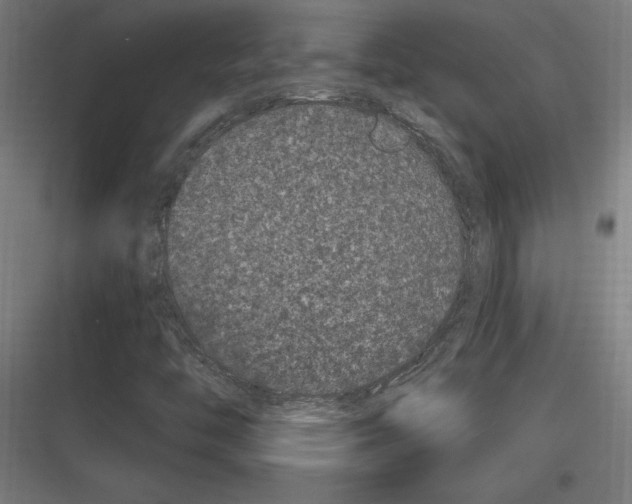 X0000116781446201001281204