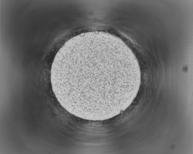 X0000116781447201001281204