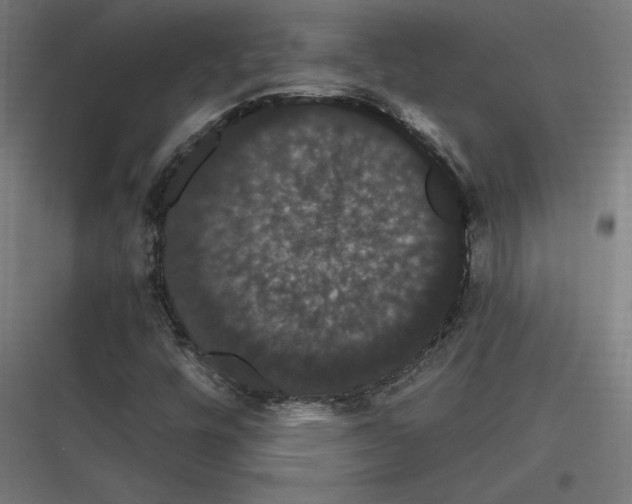 X0000116781448201001281204