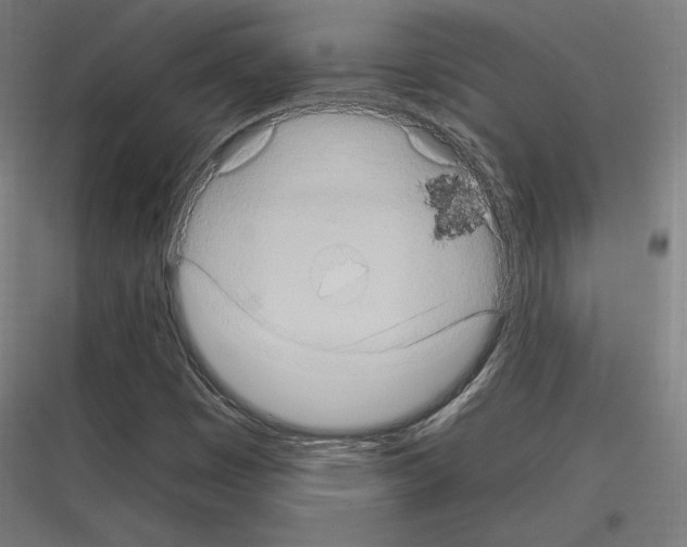 X0000116781449201001281204