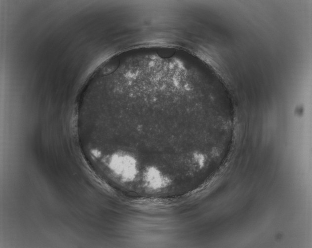 X0000116781450201001281204