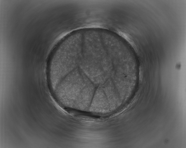 X0000116781452201001281204