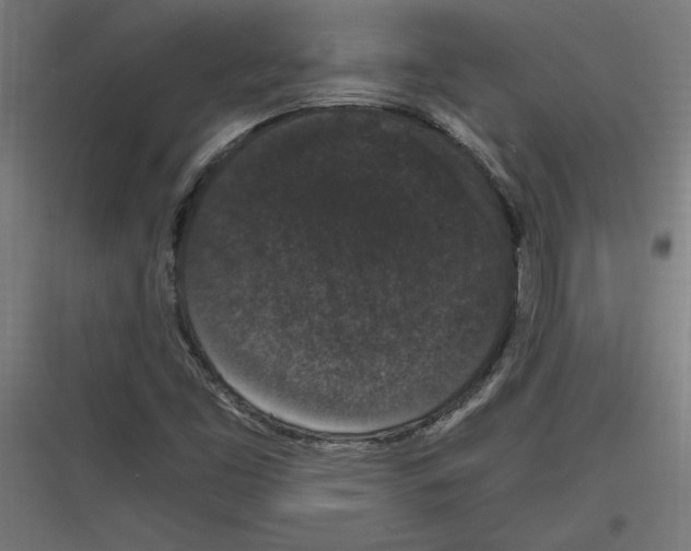 X0000116781453201001281204