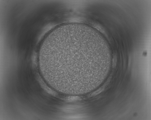 X0000116781454201001281204