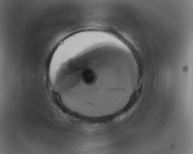 X0000116781455201001281204