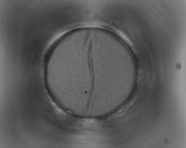 X0000116781456201001281204