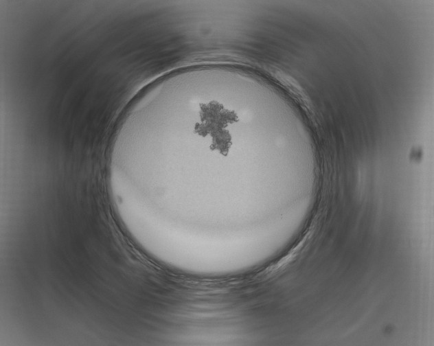 X0000116781457201001281204