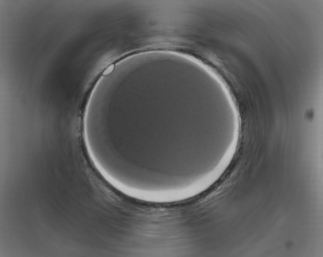 X0000116781459201001281204