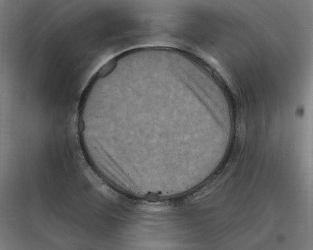 X0000116781460201001281204