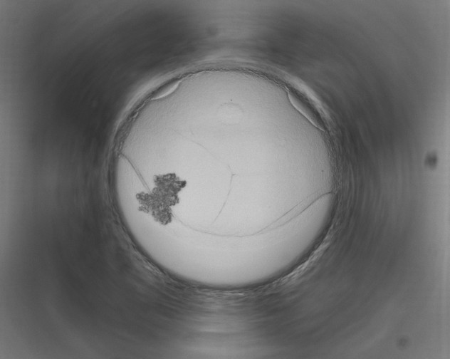 X0000116781461201001281204