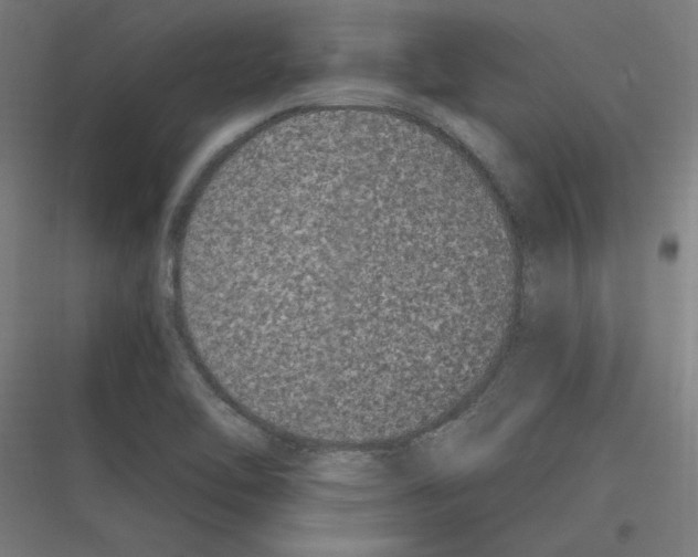 X0000116781462201001281204