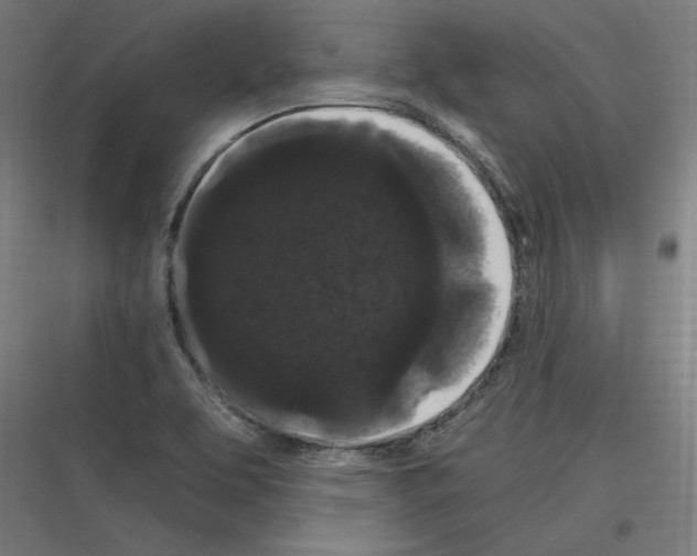 X0000116781463201001281204