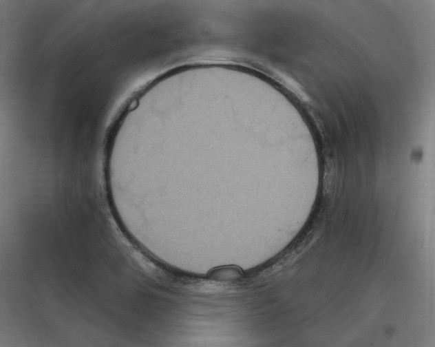 X0000116781464201001281204