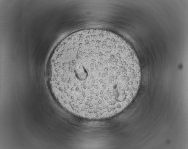 X0000116781467201001281204