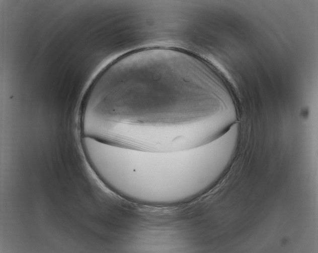 X0000116781468201001281204