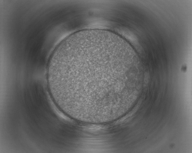 X0000116781470201001281204