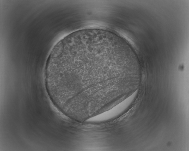 X0000116781471201001281204