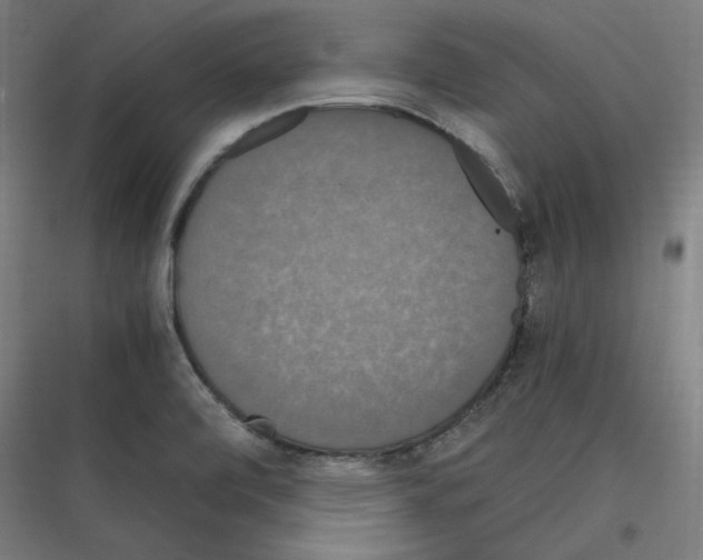 X0000116781472201001281204