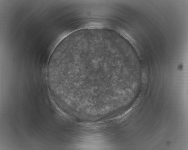 X0000116781473201001281204