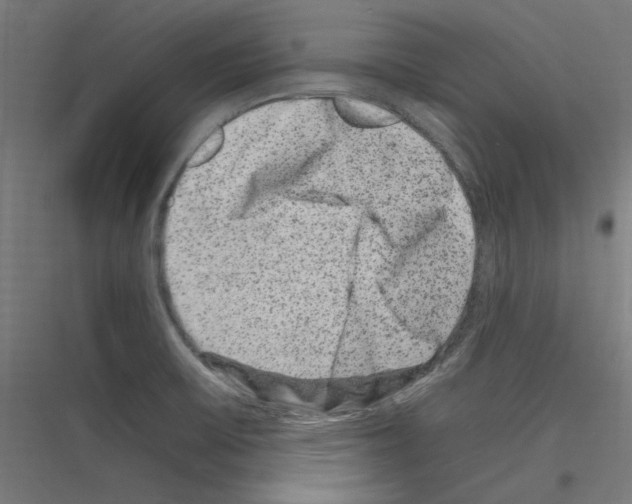 X0000116781475201001281204