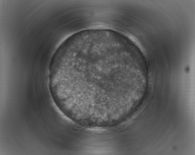 X0000116781476201001281204