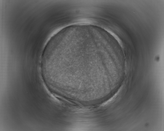 X0000116781477201001281204