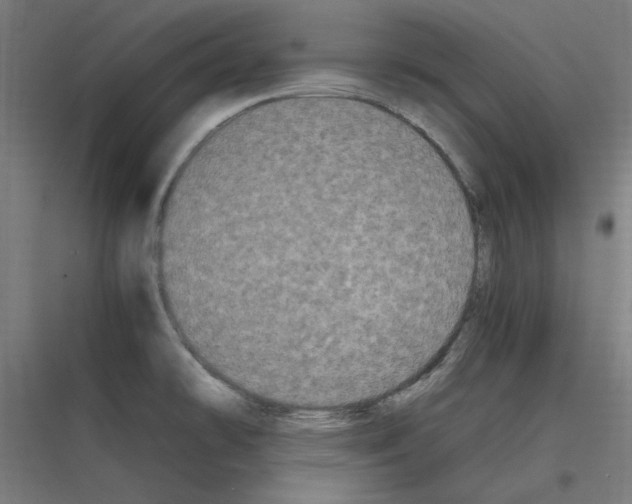 X0000116781478201001281204