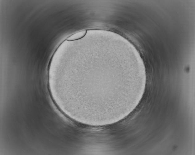 X0000116781479201001281204