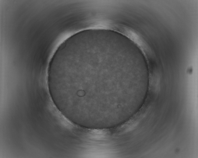 X0000116781480201001281204