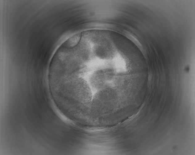 X0000116781482201001281204