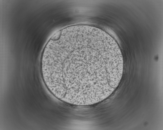 X0000116781483201001281204