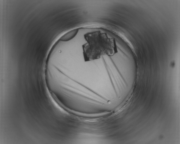 X0000116781484201001281204