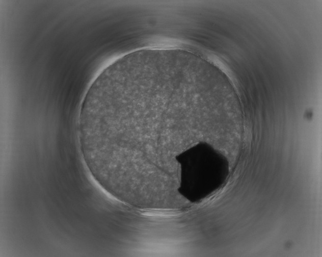 X0000116781487201001281204