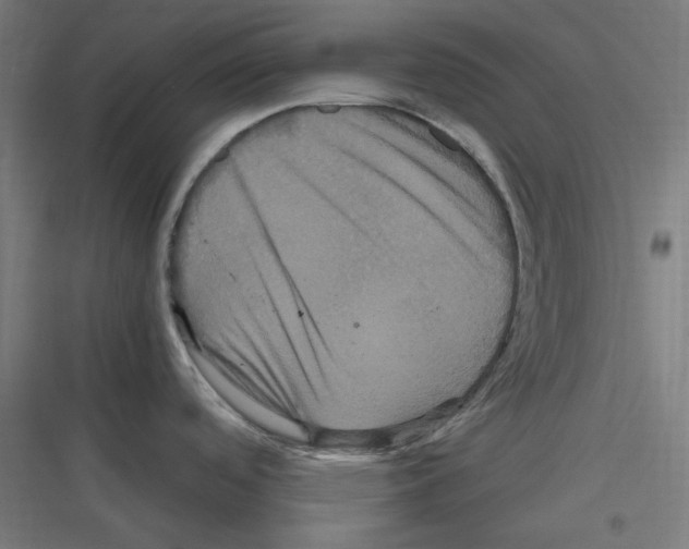 X0000116781488201001281204