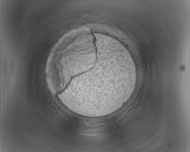 X0000116781489201001281203