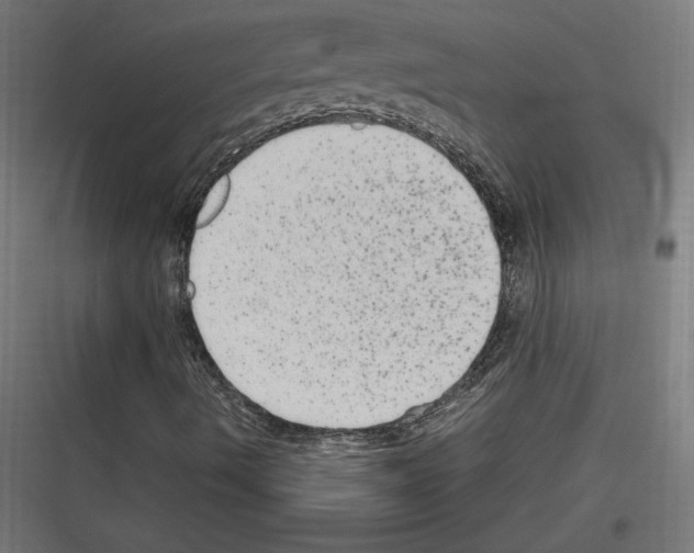 X0000116781490201001281203