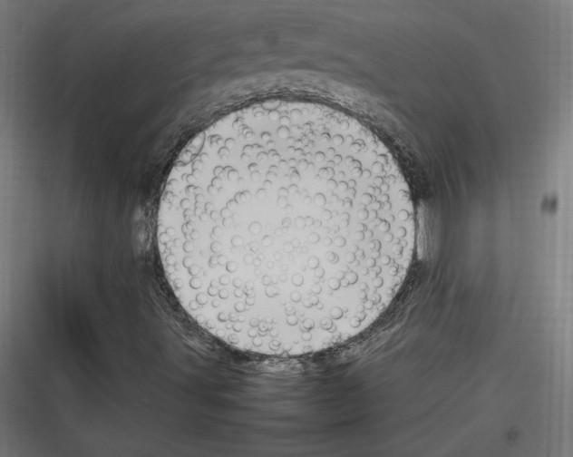 X0000116781491201001281203