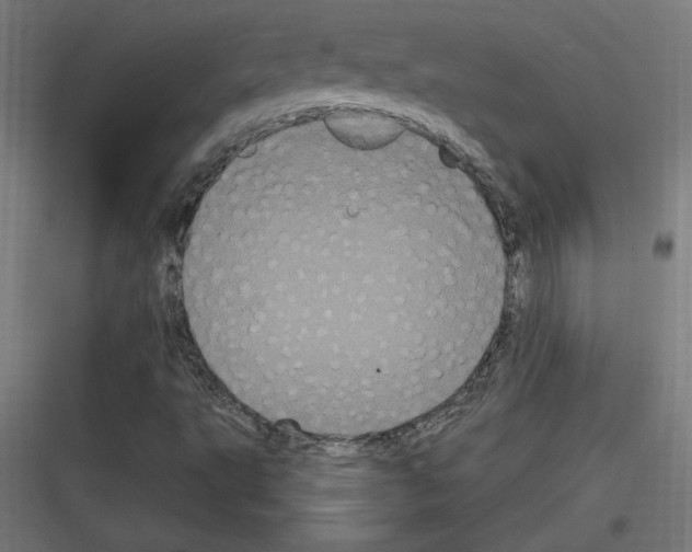 X0000116781495201001281203