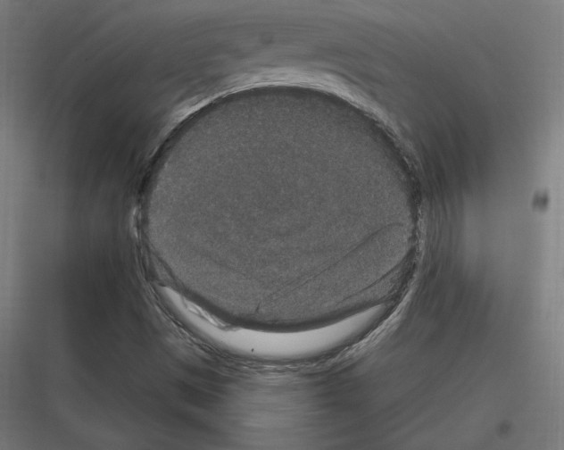 X0000116781497201001281203