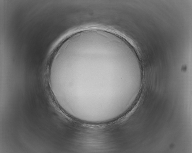 X0000116781502201001281203