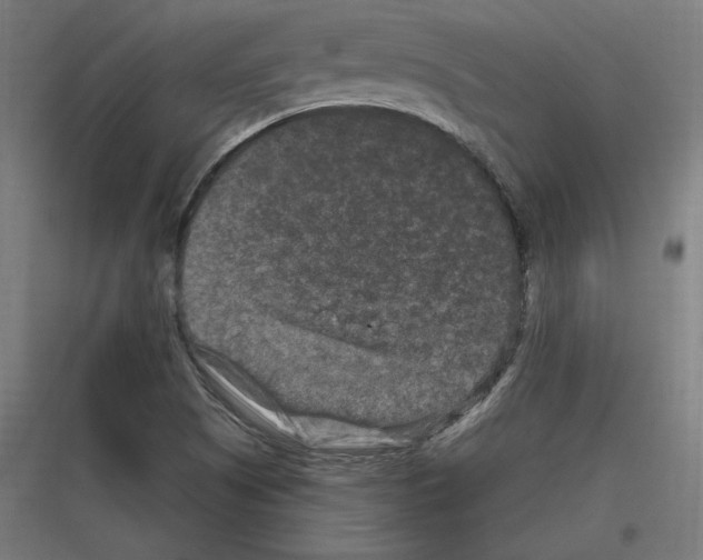 X0000116781505201001281203