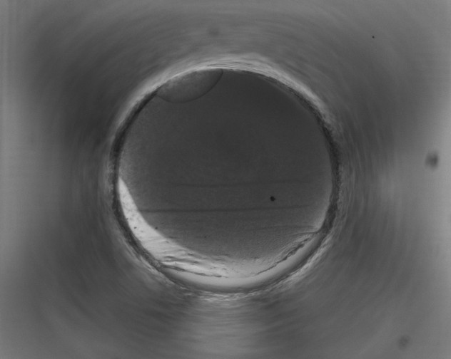 X0000116781506201001281203